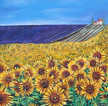 Fileds of Sunflowers and Lavendar | 48" x 48" Acyrlic on Canvas ~ SOLD
